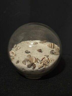 Glass Sphere Orb with Sand & Seashells
